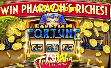 Casino Ao Vivo 79W